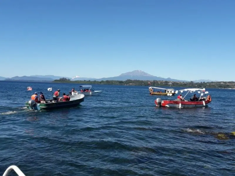 Sindicato de Boteros de Puerto Varas regalará 500 cupos para paseos en lancha por la Bahía de Puerto Varas