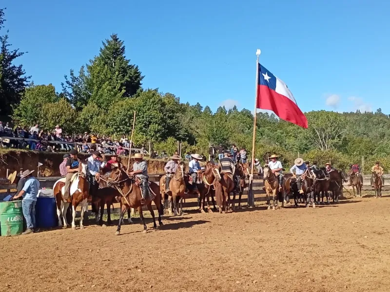 Tercera Fiesta Tradicional Huasa de Parga cerrará el verano este 28 de febrero en Fresia