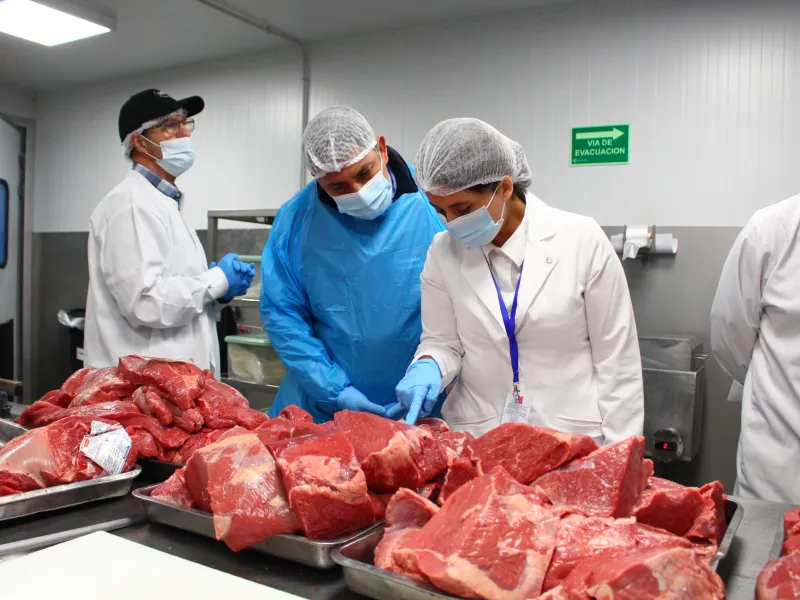 Un total de 103 instalaciones de alimentos han sido fiscalizadas a nivel regional en el marco del Plan Fiestas Patrias de la SEREMI de Salud