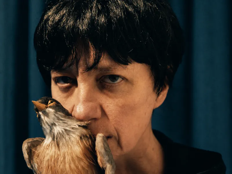 Una mujer que decide ser gata: la premiada obra alemana La Gata Eleonore llega a Puerto Varas