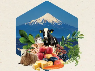1er Encuentro Agrogastronómico 100K Lago Llanquihue se realizará hoy en el Restaurante Espantapájaros en Puerto Octay