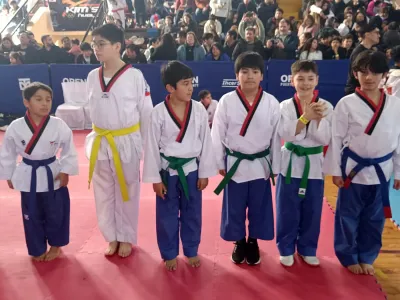 25 medallas obtuvo academia local In NAE en Copa Puerto Montt de Taekwondo WT