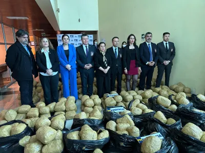 650 kilos de marihuana fueron incautados en operación conjunta entre la Fiscalía y la PDI