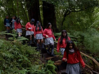 90 niños y jóvenes visitaron Parque Nacional Alerce Andino en inicio de Colorearte 2019 