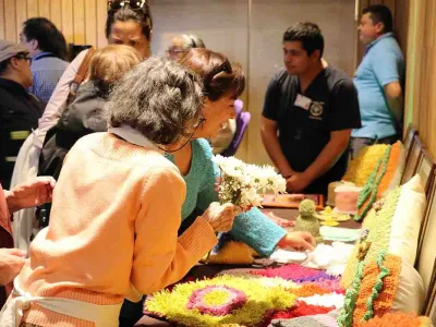 Adultos Mayores de Puerto Varas celebraron Expo ELEAM