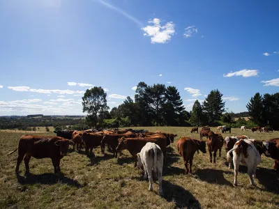 Agricultura: recomiendan monitoreo de condiciones climáticas de otoño-invierno