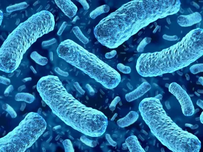 Alerta alimentaria por Listeria: Especialista explica cómo detectarla y evitar complicaciones más graves