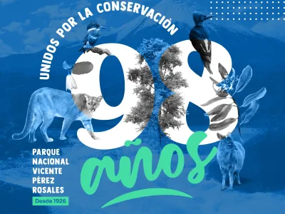 Aniversario del Parque Vicente Pérez Rosales durará una semana