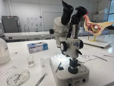 ¡Aún estás a tiempo! Postula al Premio InspiraTEC y visibiliza tu talento en Ciencia, Tecnología e Innovación