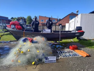Autoridad Marítima detecta más de 25 kilos de salmón extraído ilegalmente en el lago Llanquihue