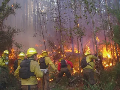 Autoridades llaman a prevenir incendios forestales     