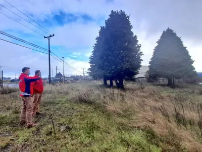 Bienes Nacionales y Aduana visitaron terrenos para la construcción del futuro edificio regional en Puerto Montt