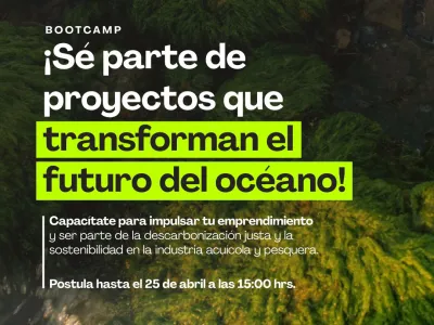 Bootcamp Patagonia Azul: Una Apuesta por la Innovación Sostenible para Impulsar el Crecimiento Económico y la Descarbonización en el Sur de Chile