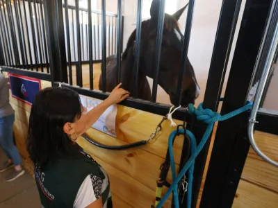 Brote de encefalomielitis equina en Argentina activa plan de vigilancia SAG en territorio nacional