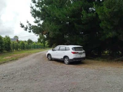 Carabineros detiene en flagrancia a sujetos por robo en Nueva Braunau