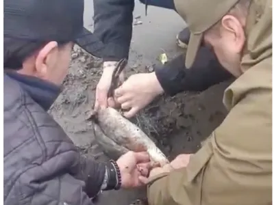 [VIDEO] Carabineros rescatan ave enredada en una red en Costanera Puertovarina