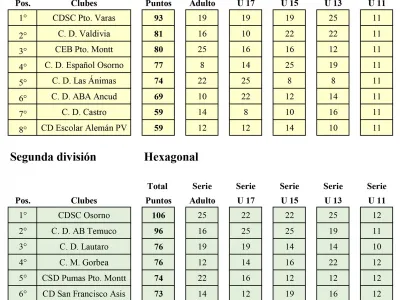 CDSC Puerto Varas encabeza Tabla de Posiciones Copa Saesa