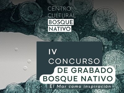 Centro Cultural Bosque Nativo convoca desde Puerto Varas a artistas de todo Chile para el IV Concurso Nacional de Grabado