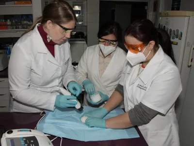 Científicas UFRO desarrollan crema derivada del té verde que daña las células malignas del cáncer a la piel 