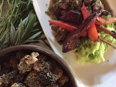 Científicos y cocineros ponen en valor productos del territorio Patagonia Verde