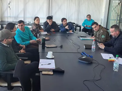 Comisión Llanquihue del CORE expresó preocupación por la lentitud en la tramitación de proyectos de Carabineros para zonas fronterizas