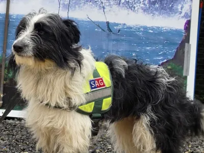 Complejo Fronterizo Cardenal Samoré: Brigada Canina del SAG intercepta más de 13 kg de productos de riesgo ocultos en camión procedente de Brasil