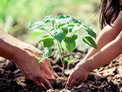 Con experiencias de éxito, Seremi del Medio Ambiente impulsó capacitación en producción vegetal sustentable para comunidades escolares