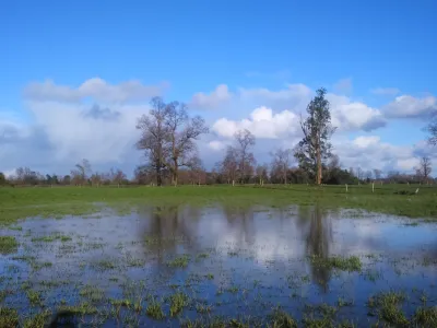 Con un 16% de déficit de lluvias terminó el año 2023