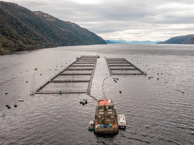 Consejo del Salmón advierte falsedades en documental de Greenpeace e insta a información veraz que contribuya a desarrollo sustentable de las regiones