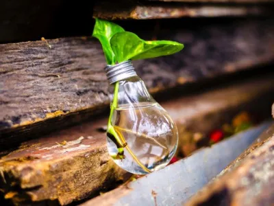 Crean curso online para innovadores de la Región de Los Lagos