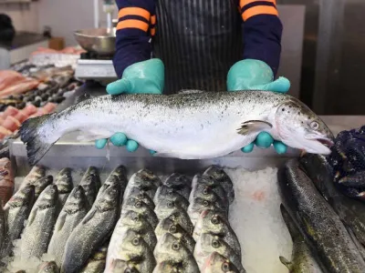 ¿Cuánto pescado y marisco se come en Chile? Encuesta revela  la frecuencia y preferencias en el consumo de productos del mar