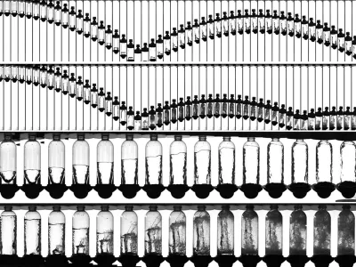 El fascinante vínculo entre la física y el desafío viral de la botella de agua