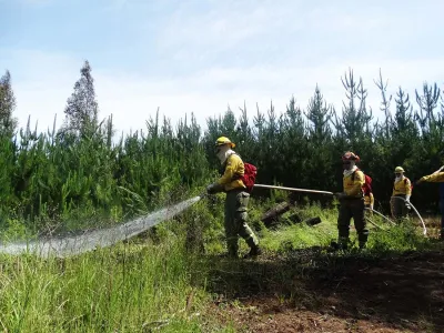 Empresas forestales aumentan en un 17% la dotación de brigadistas para esta temporada