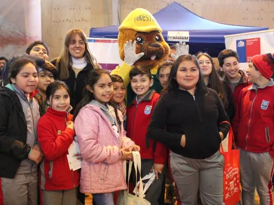 En Frutillar incentivan el uso de bolsas reutilizables