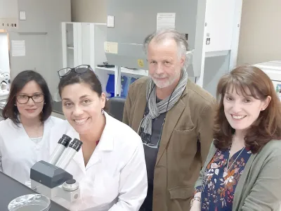 En INIA Remehue se realizará seminario sobre enfermedades causadas por virus y sus vectores en el cultivo de papa