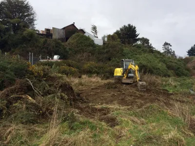 En Puerto Varas: Hoy se realizará Reforestación y Recorrido Interpretativo en Quebrada Honda