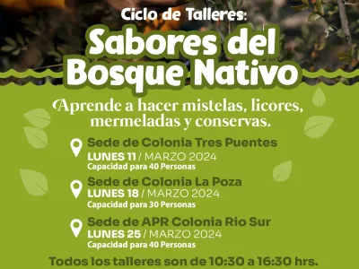 En sectores rurales de la comuna de Puerto Varas se realizará ciclo de talleres “Sabores del Bosque Nativo”