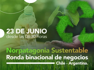 Encuentro organizado por el Centro de Negocios de Sercotec: Pymes de Los Lagos y Río Negro conectarán en Rueda Binacional 