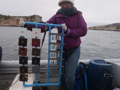 Energía Marina en Chile: Científicos realizan importantes experimentos en Canal de Chacao y Estrecho de Magallanes