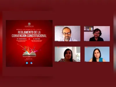 Especialistas UACh reflexionaron acerca del reglamento de la Convención Constitucional