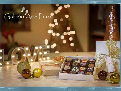Feria Navideña en Galpón Aire Puro reunirá a emprendedores, artistas y creadores locales este 11 y 12 de diciembre