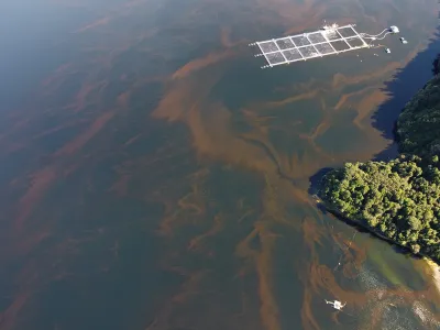 Floraciones Algales Nocivas (FANs) un tema emergente y clave en la investigación en ciencias del mar