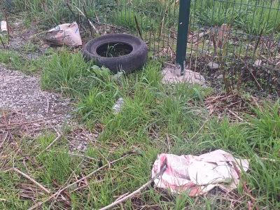 Foto Denuncia: Basura abandonada a un costado de línea férrea