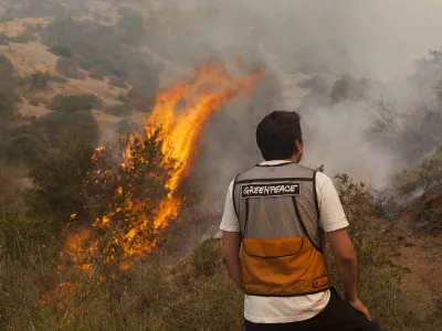Greenpeace e incendios en Aysén: "El cambio climático actuará como nuevo combustible para la propagación de incendios en la Patagonia"
