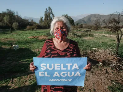 Greenpeace en el Día del Medioambiente: “Hoy los avances ambientales son alcanzados gracias a la presión ciudadana”