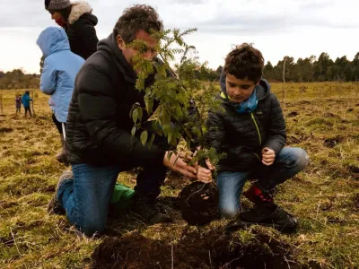 Hotel Cabaña del Lago de Puerto Varas colaboró con 150 árboles en reforestación en Chiloé