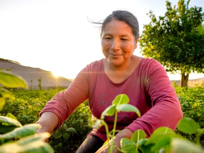 INDAP invita a pequeños agricultores a acceder a créditos de corto plazo para fortalecer sus actividades productivas