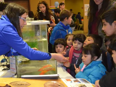 Invitan a Establecimientos Educacionales a celebrar el Día de la Ciencia con el desafío Por Qué Challenge