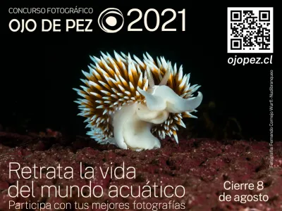Invitan a Participar del Concurso Fotográfico “Ojo de Pez”