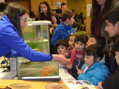 La Fiesta de la Ciencia tendrá lugar en Puerto Varas